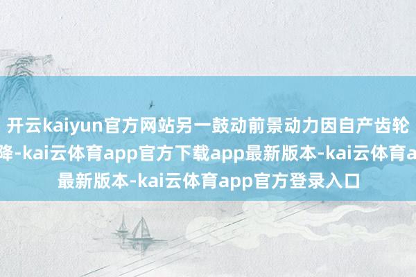 开云kaiyun官方网站另一鼓动前景动力因自产齿轮箱导致采购额骤降-kai云体育app官方下载app最新版本-kai云体育app官方登录入口