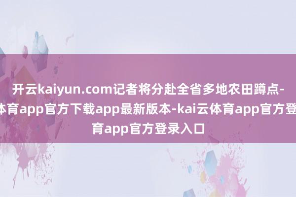 开云kaiyun.com记者将分赴全省多地农田蹲点-kai云体育app官方下载app最新版本-kai云体育app官方登录入口