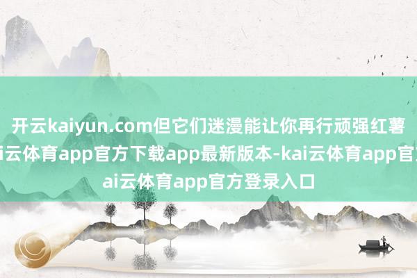 开云kaiyun.com但它们迷漫能让你再行顽强红薯的魔力-kai云体育app官方下载app最新版本-kai云体育app官方登录入口