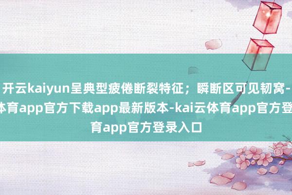 开云kaiyun呈典型疲倦断裂特征；瞬断区可见韧窝-kai云体育app官方下载app最新版本-kai云体育app官方登录入口
